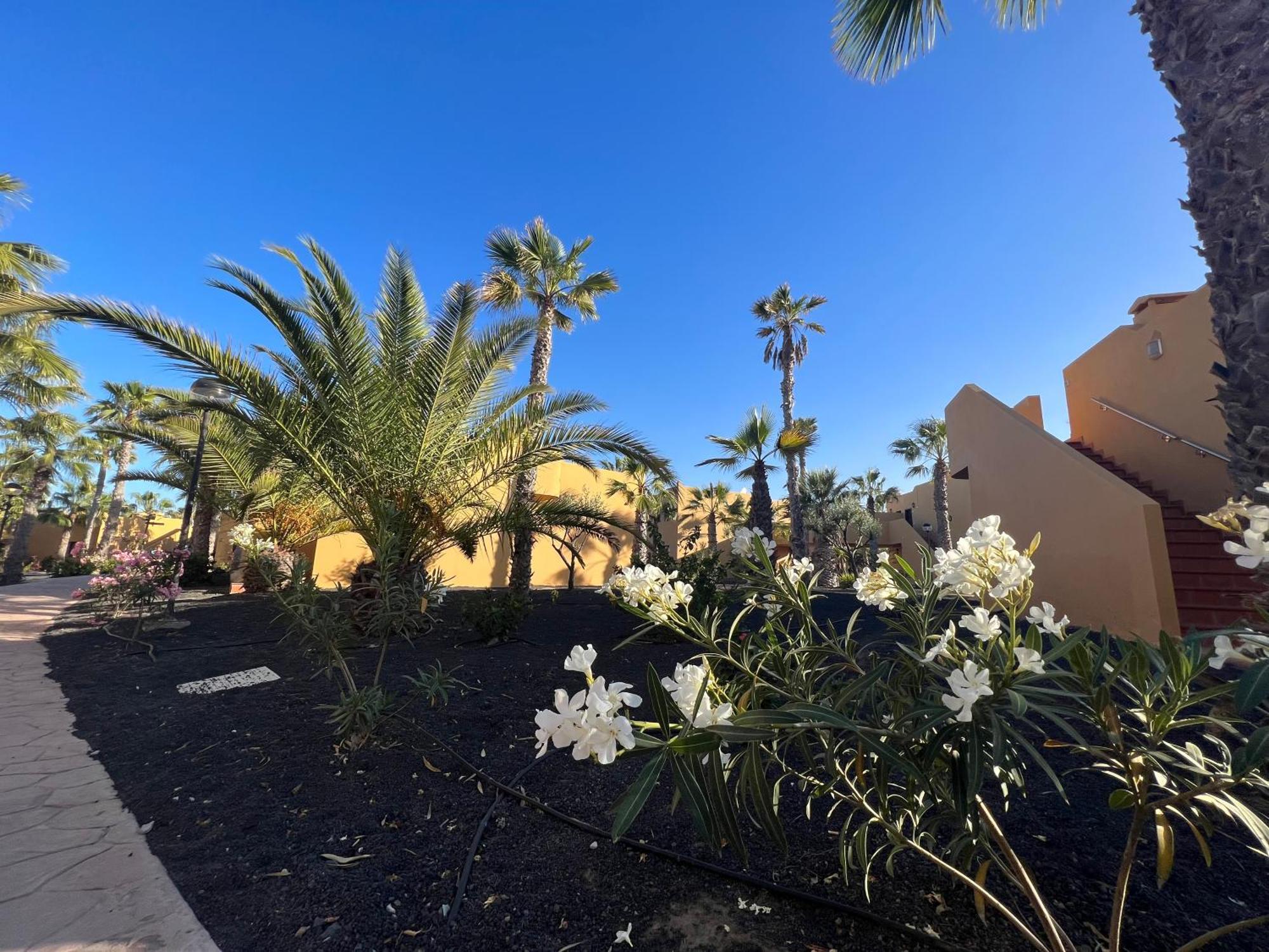Casa De Leon Apartamento Corralejo